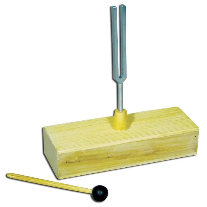 Worldwide Shipping Frey Scientific Resonance Box with Tuning Fork - 320 Hz